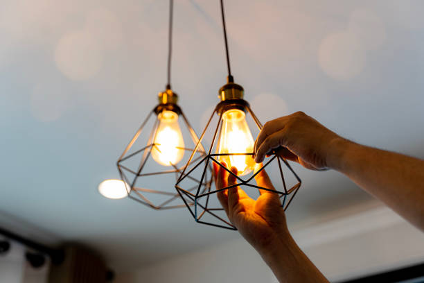 Best Electric Panel Repair  in Palouse, WA